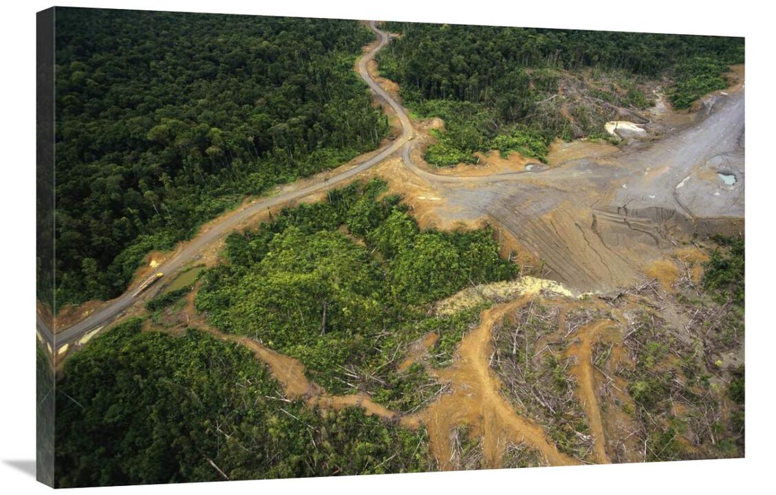 Logging erosion in lowland tropical rainforest across the broad flood plain of Aird River, Kikori Basin, Papua New Guinea-Canvas Art-36x24