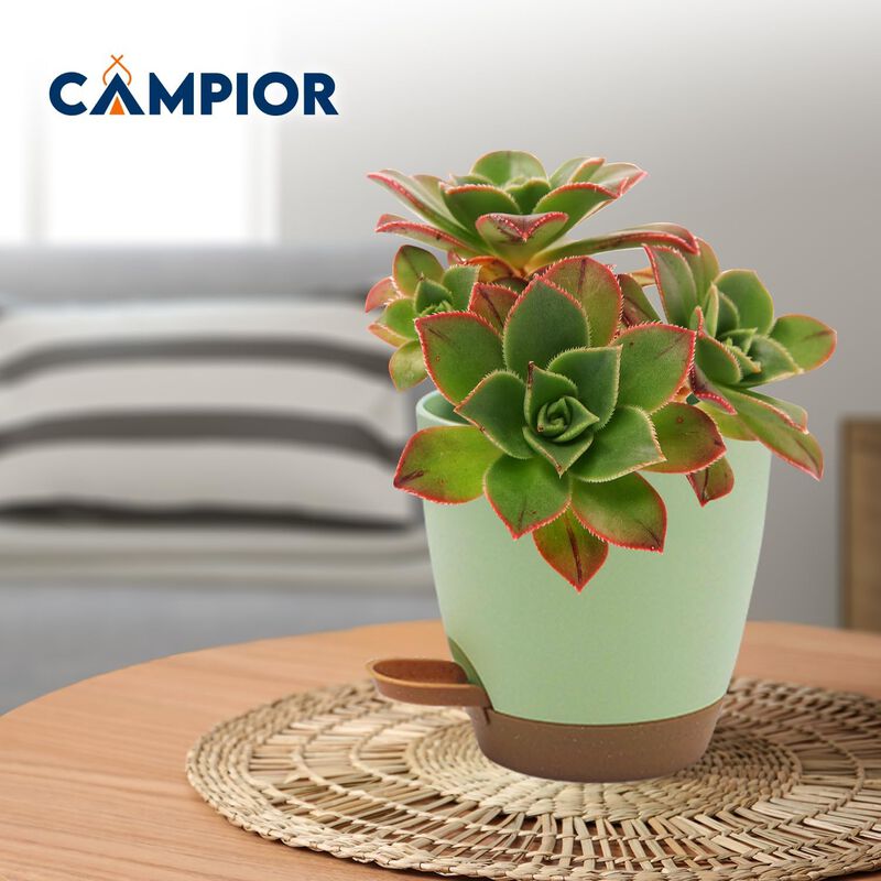 Campior Self-Watering Planters - 5 Size Indoor and Outdoor Plant Pots with Drainage Holes and Wick Rope, Plastic Pot for Succulents, Flowers, and Plants, (7”,6.5”,6”,5.5”,5” Inches), Pack of 20, Black