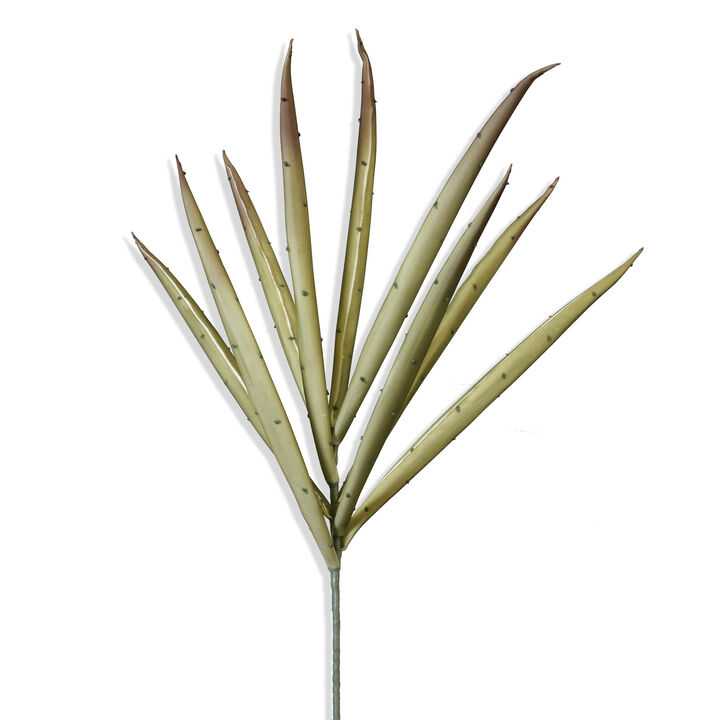 Yucca Stem