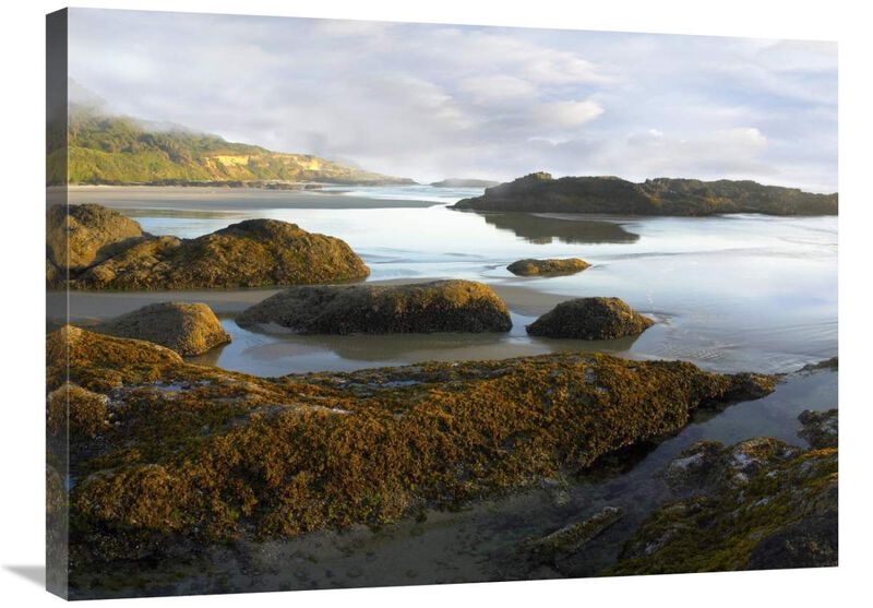 Seaweed covered rocks exposed at low tide, Neptune Beach, Oregon-Canvas Art-32x24