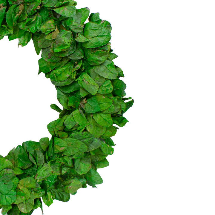 20" Lush Green Preserved Leaf Spring Garden Wreath - Unlit