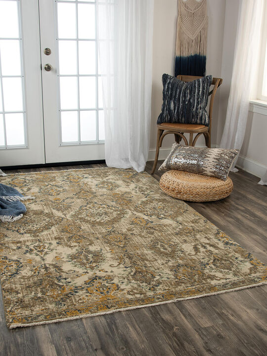 Platinum PNM101 2' x 3' Rug