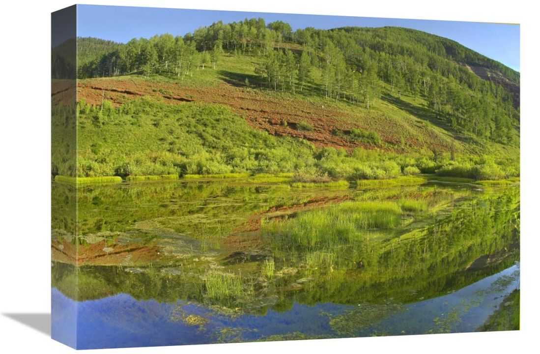 Rico Mountains reflected in Dolores River backwater near Rico, Colorado-Canvas Art-16x12