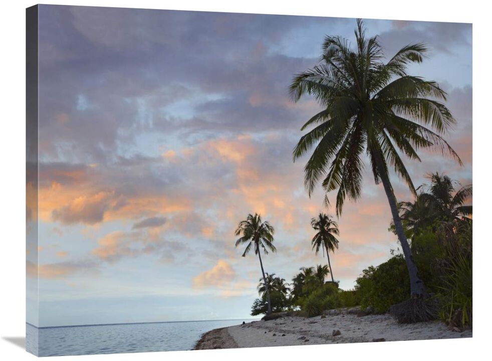 Coconut Palm trees, Pamilacan Island, Bohol Island, Philippines-Canvas Art-32x24