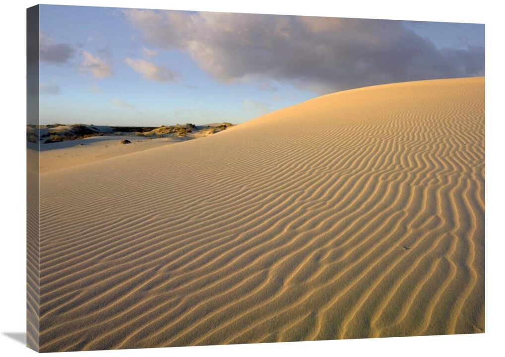 Sand dune, Monahans Sandhills State Park, Texas-Canvas Art-32x24