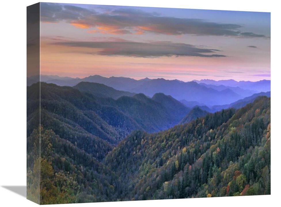 Deciduous forest covering mountains, Newfound Gap, Great Smoky Mountains National Park, North Carolina-Canvas Art-16x13.44