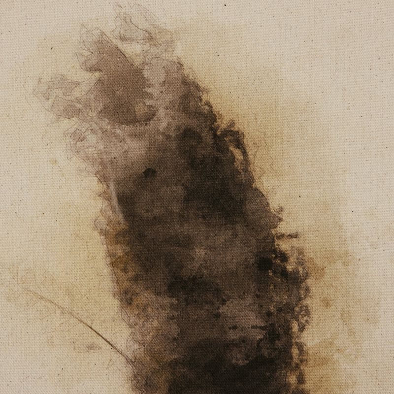 Washed Lands I By C. D'Esprit