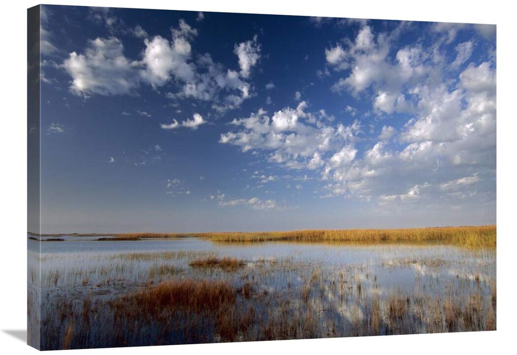 Marsh, Padre Island National Seashore, Texas-Canvas Art-32x24