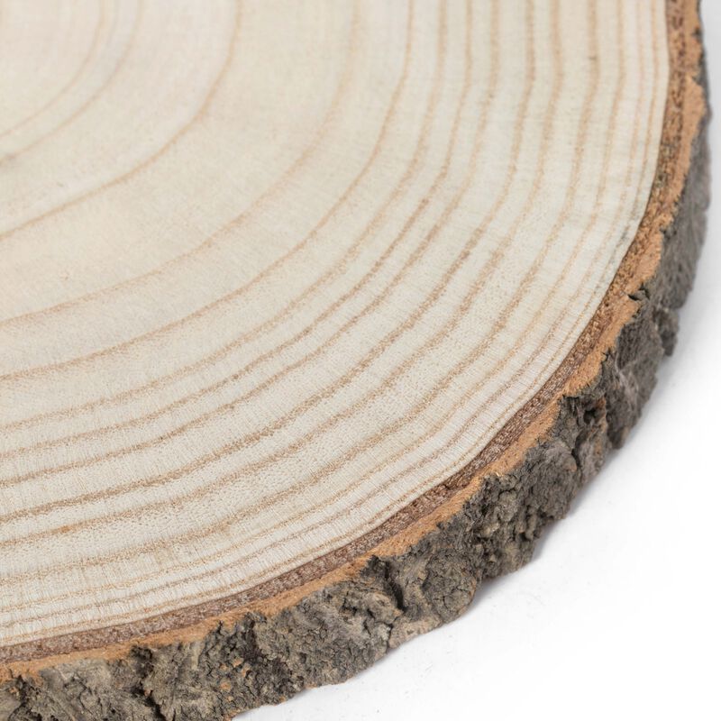 Barky Natural Wood Slabs Rustic Ornament Slice Tray Table Charger 12" set of 4