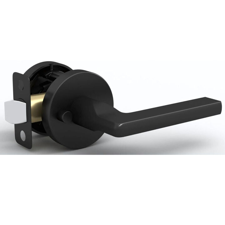 Mega Handles | Ralph Privacy Lever