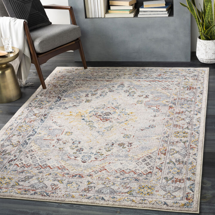 Ankara AKR-2300 7'10' x 10'3' Beige Rug