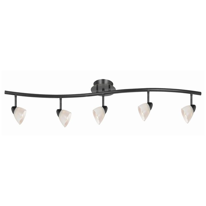 5 Light 120V Metal Track Light Fixture with Glass Shade, Black and White - Benzara