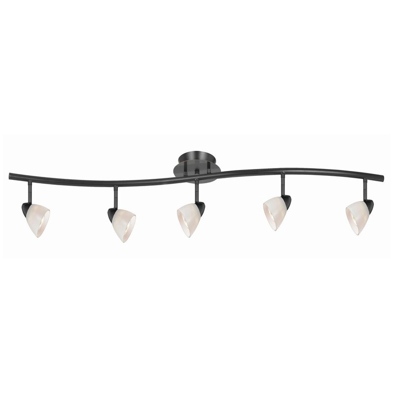 5 Light 120V Metal Track Light Fixture with Glass Shade, Black and White - Benzara