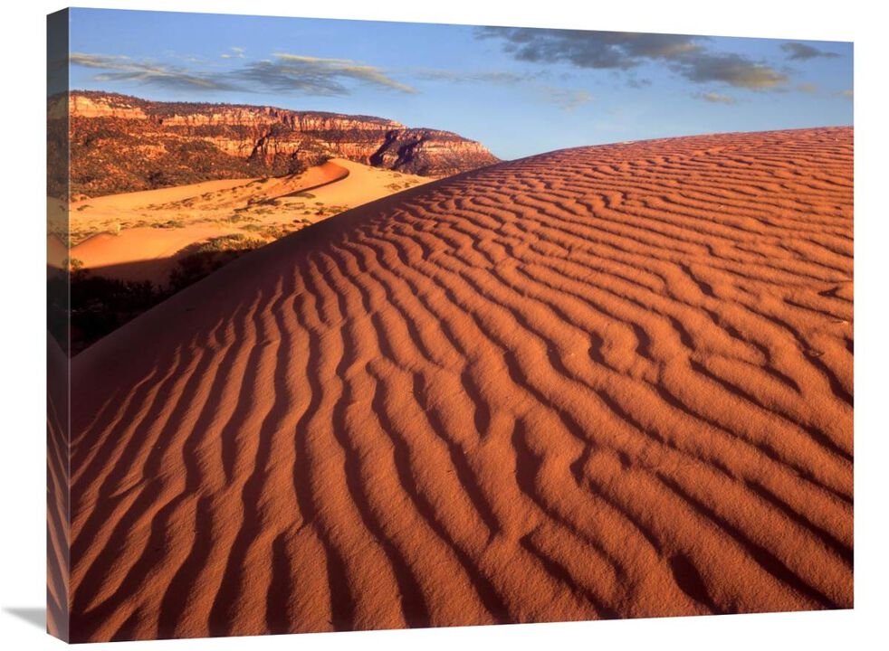 Sand dunes, Coral Pink Sand Dunes State Park, Utah-Canvas Art-32x24