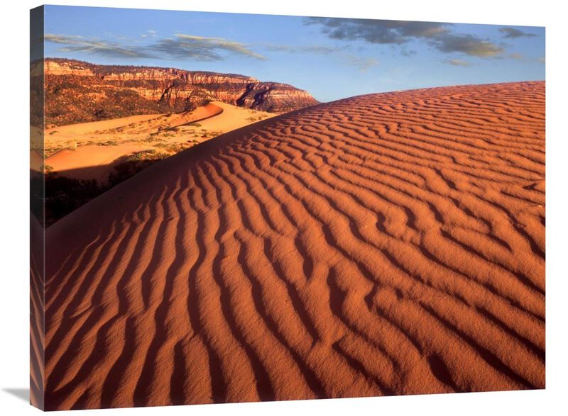 Sand dunes, Coral Pink Sand Dunes State Park, Utah-Canvas Art-32x24