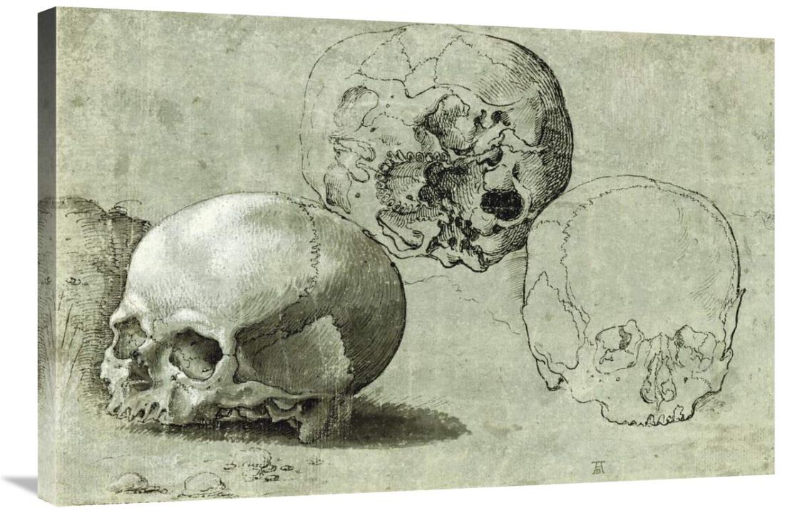 Study of Three Skulls-Canvas Art-36x24
