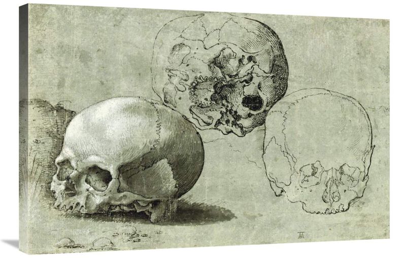 Study of Three Skulls-Canvas Art-36x24