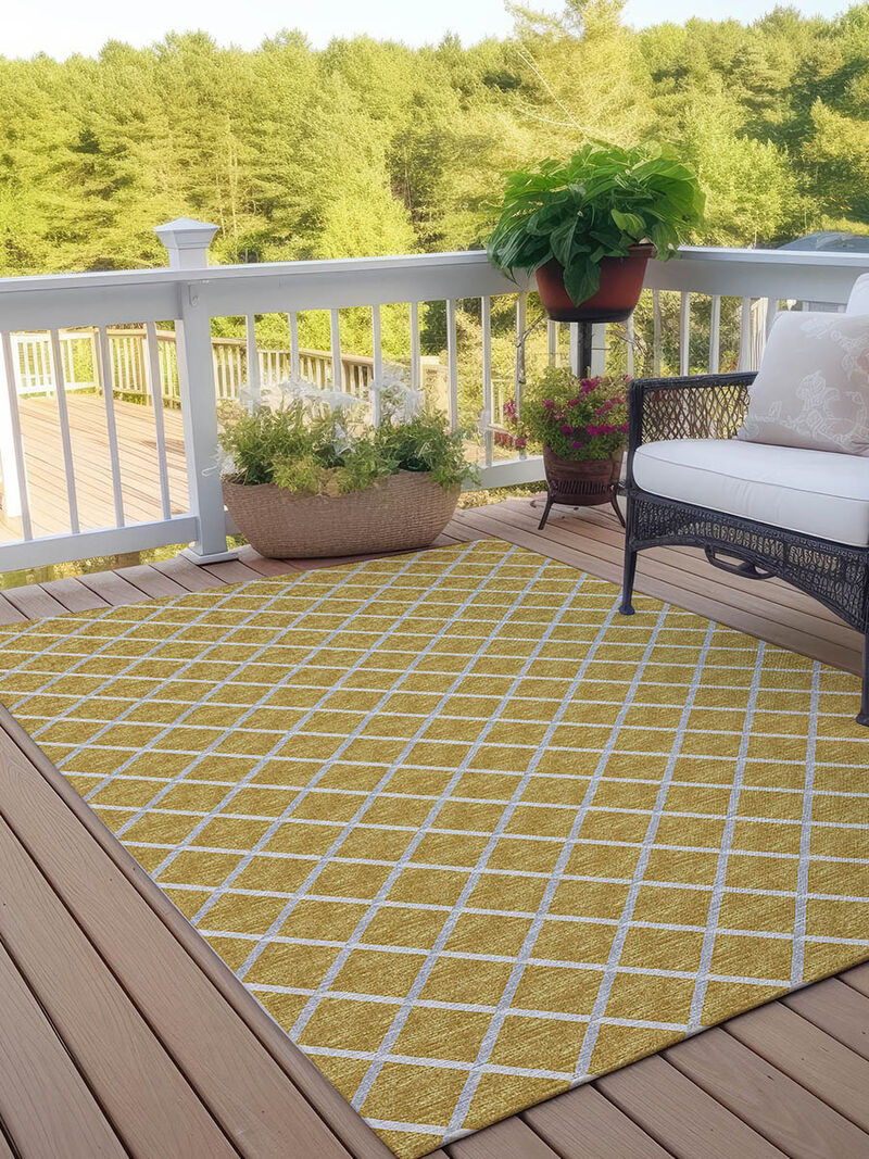 York YO1 Gold 10' x 14' Rug