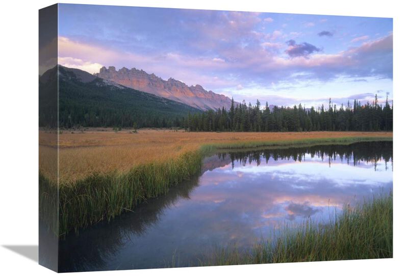 Dolomite Peak and Bow River backwaters, Banff National Park, Alberta-Canvas Art-16x12