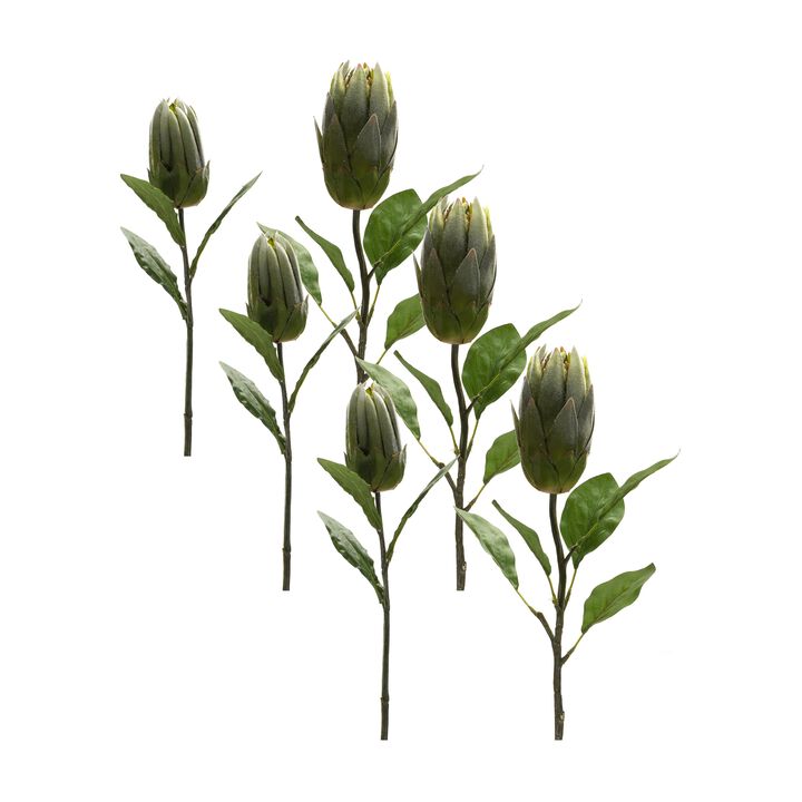 Protea Leaf Stem for Exotic Home Décor and Floral Arrangements (Set of 6)