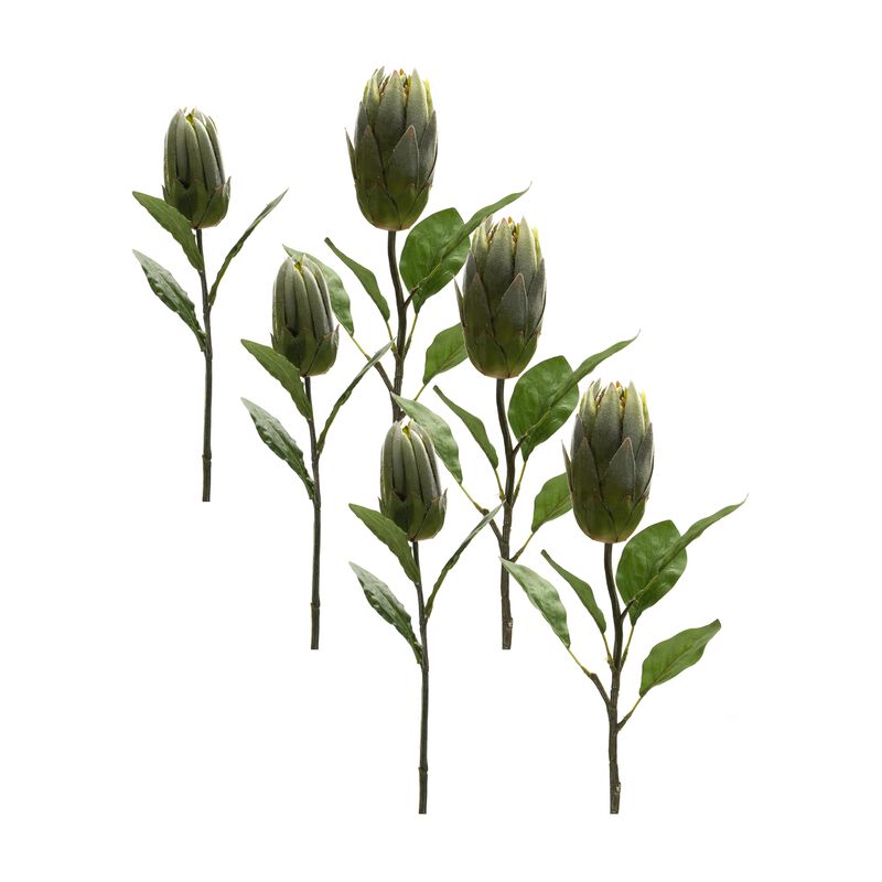 Protea Leaf Stem for Exotic Home Décor and Floral Arrangements (Set of 6)