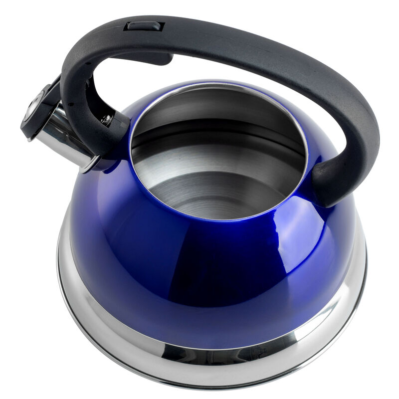 Mr. Coffee Flintshire 1.75 Quart Whistling Stovetop Tea Kettle in Blue