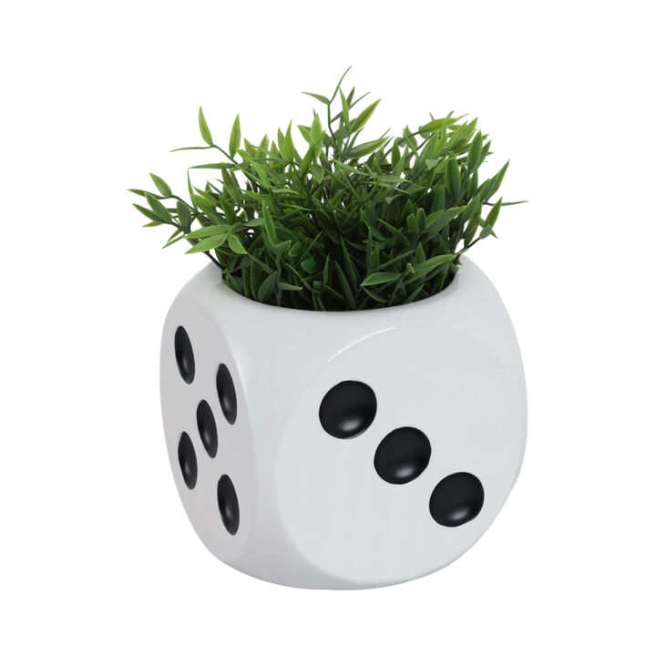 6" Dice Planter