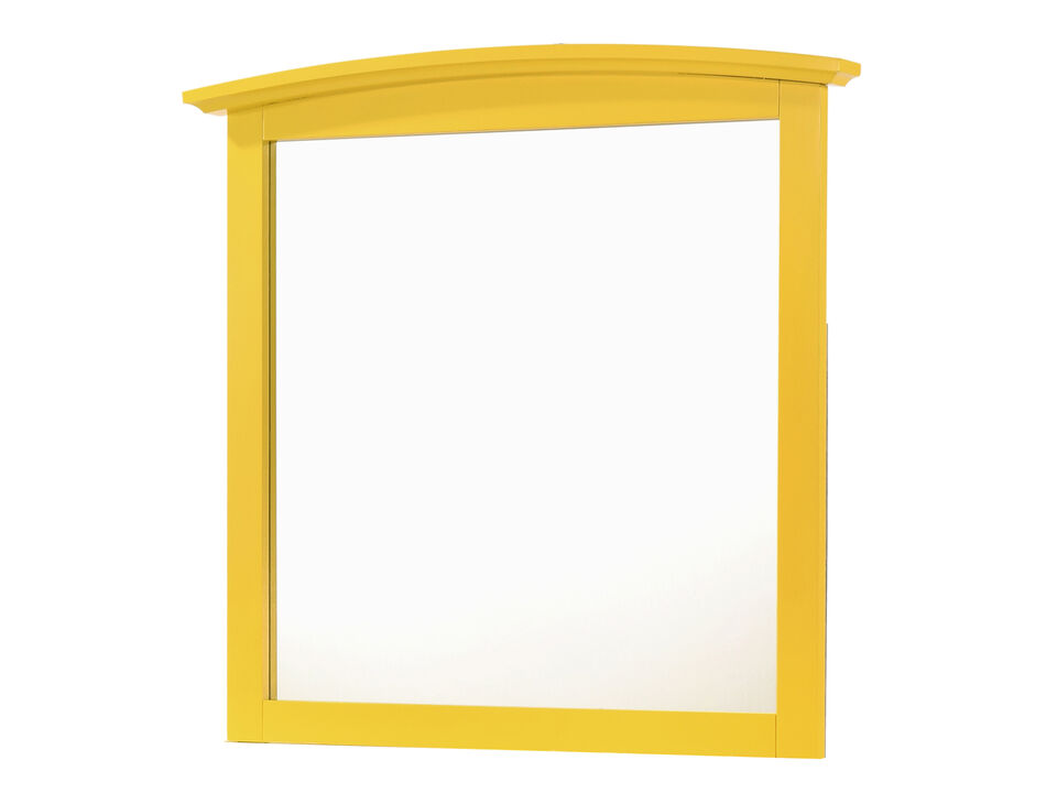 37 in. x 35 in. Classic Rectangle Framed Dresser Mirror