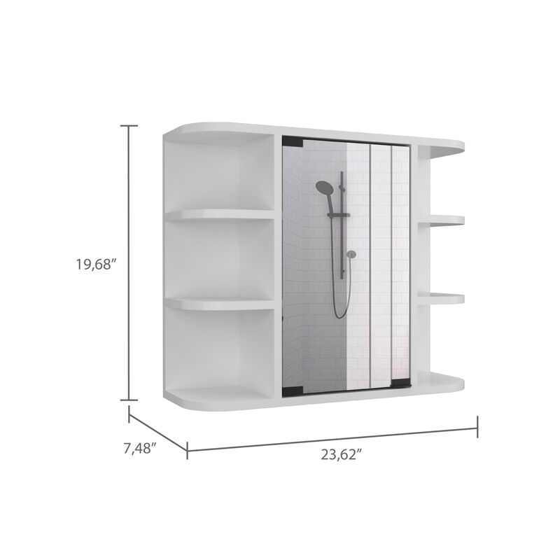 Roseburg 6-Shelf Medicine Cabinet With Mirror