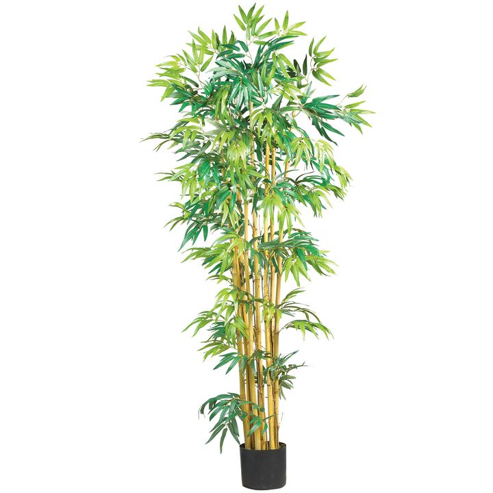 Hivvago 5 Feet Multi Bambusa Bamboo Silk Tree