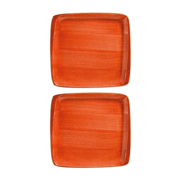 Terracota 8.5" x 8" Square Terracotta Porcelain Plate (Set of 2)