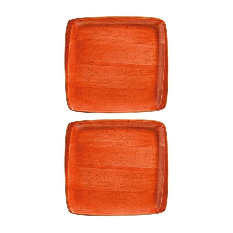 Terracota 8.5" x 8" Square Terracotta Porcelain Plate (Set of 2)