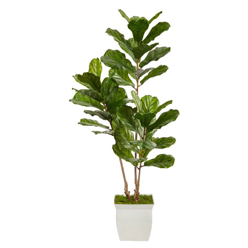 Nearly Natural 5.5-in Fiddle Leaf Tree in Planter UV (Indoor/Outdoor)
