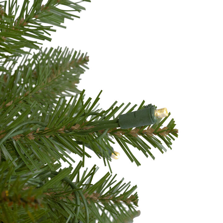 4' Pre-Lit Full Northern Pine Artificial Christmas Tree - Warm Clear LED Lights