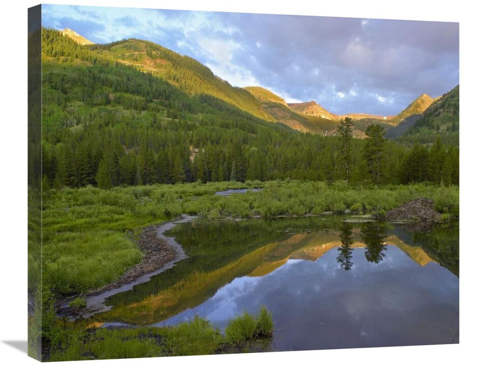 Pond and boreal forest, Ruby Range near Crested Butte, Colorado-Canvas Art-28x22