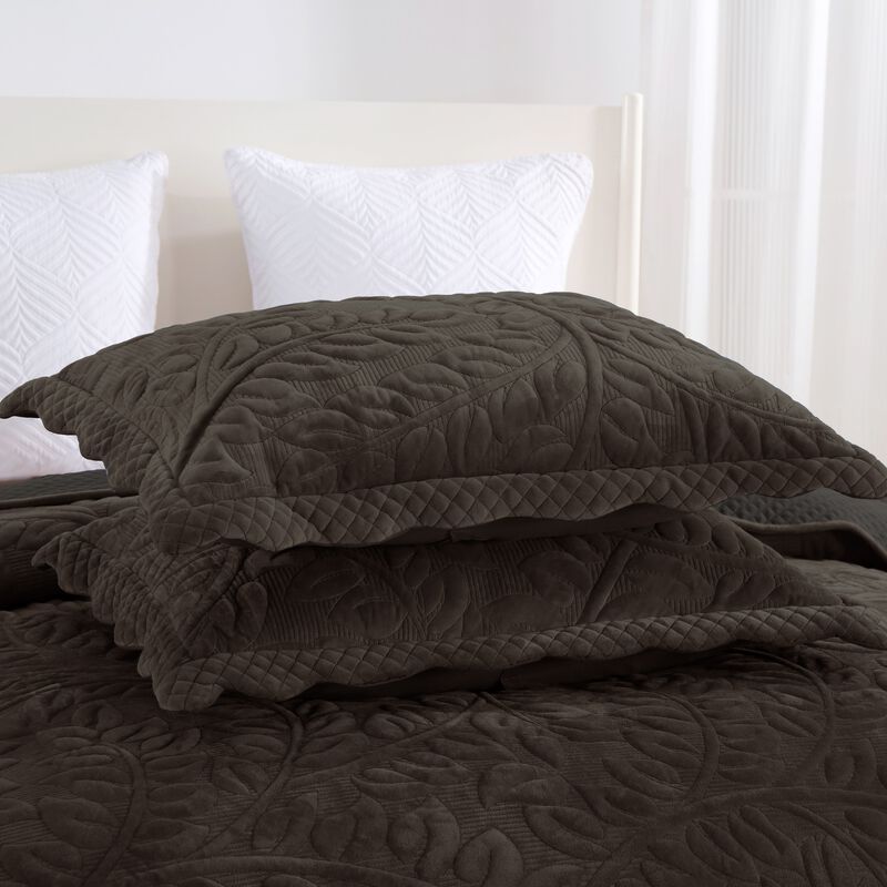 Marcielo 3 Pcs Soft and Plush Velvet Oversized Embroidery Soft and Plush Quilt Set