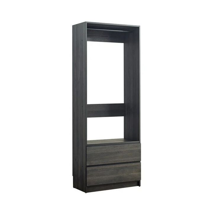 Dee Modular Closet System, 1 Metal Hanging Rod and 2 Drawer, Black Finish