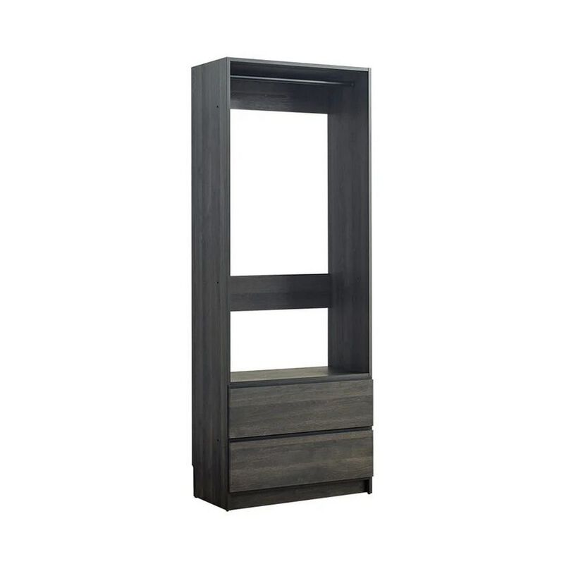 Dee Modular Closet System, 1 Metal Hanging Rod and 2 Drawer, Black Finish