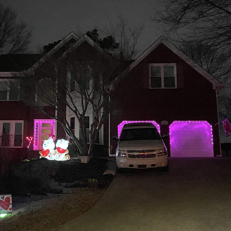 25 Count Pink LED C9 Christmas Lights  16 ft White Wire