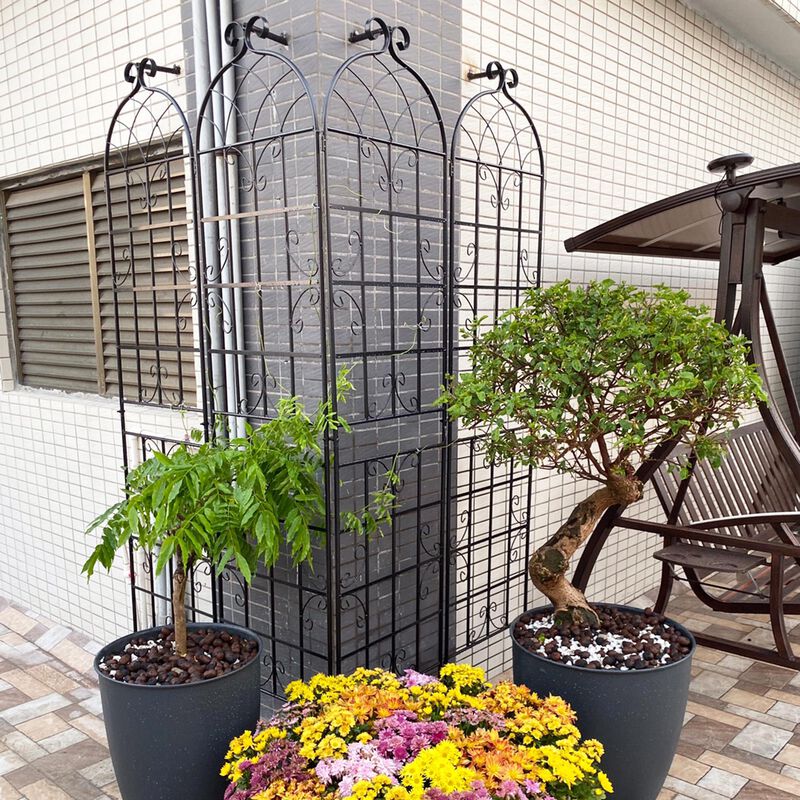 Sturdy Metal Garden Trellis, 4-Pack Rustproof Plant Support for Vines & Flowers