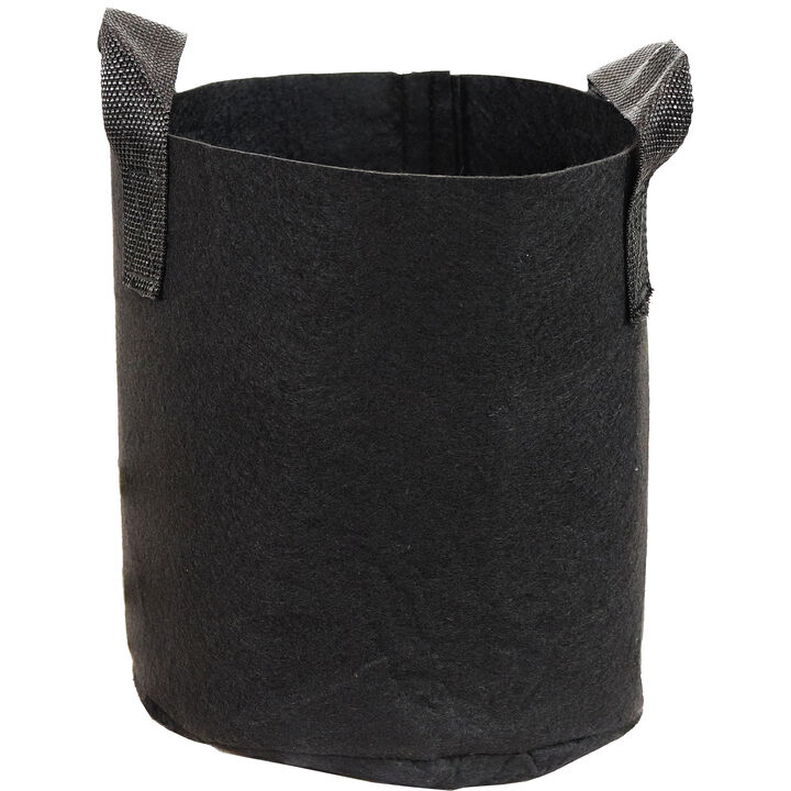 Sunnydaze Nonwoven Polypropylene Fabric Grow Bag with Handles - 2 gallon