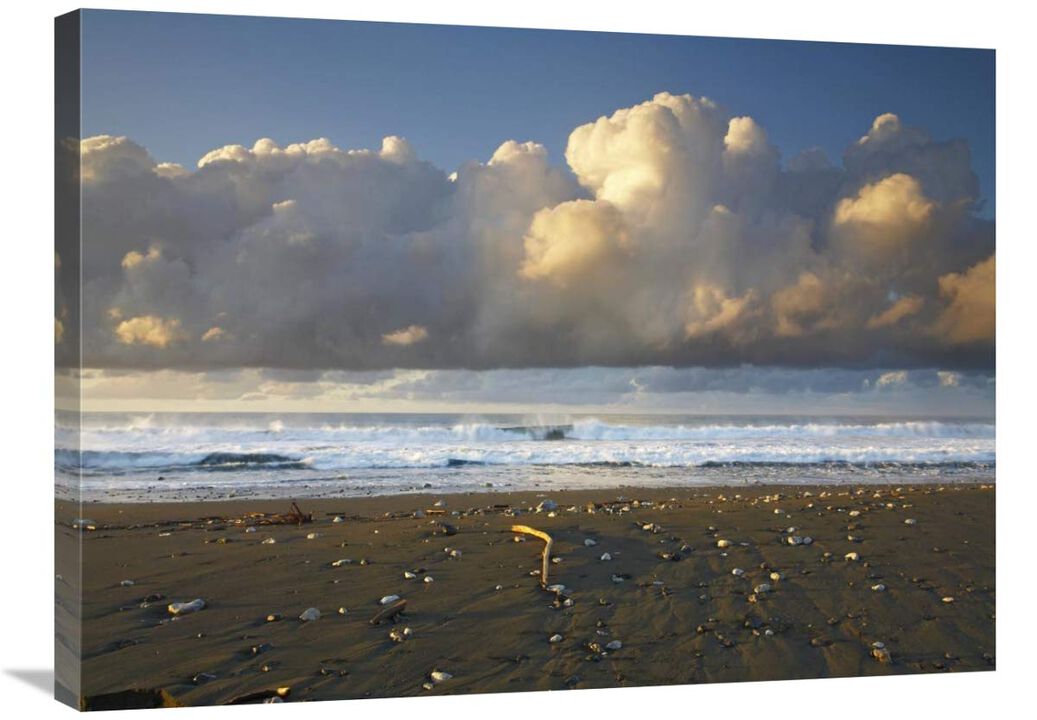Beach and waves, Corcovado National Park, Costa Rica-Canvas Art-32x24