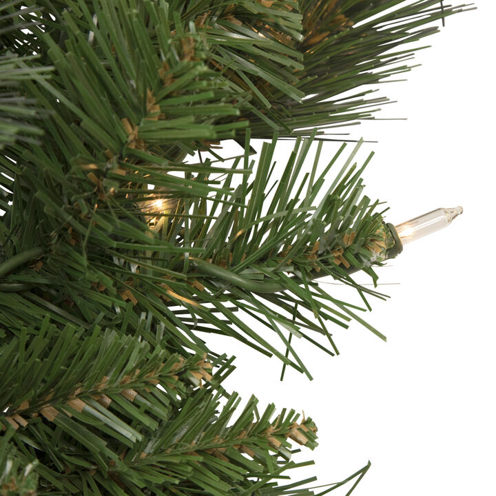 Mixed Beaver Pine Artificial Christmas Wreath  24-Inch  Clear Lights