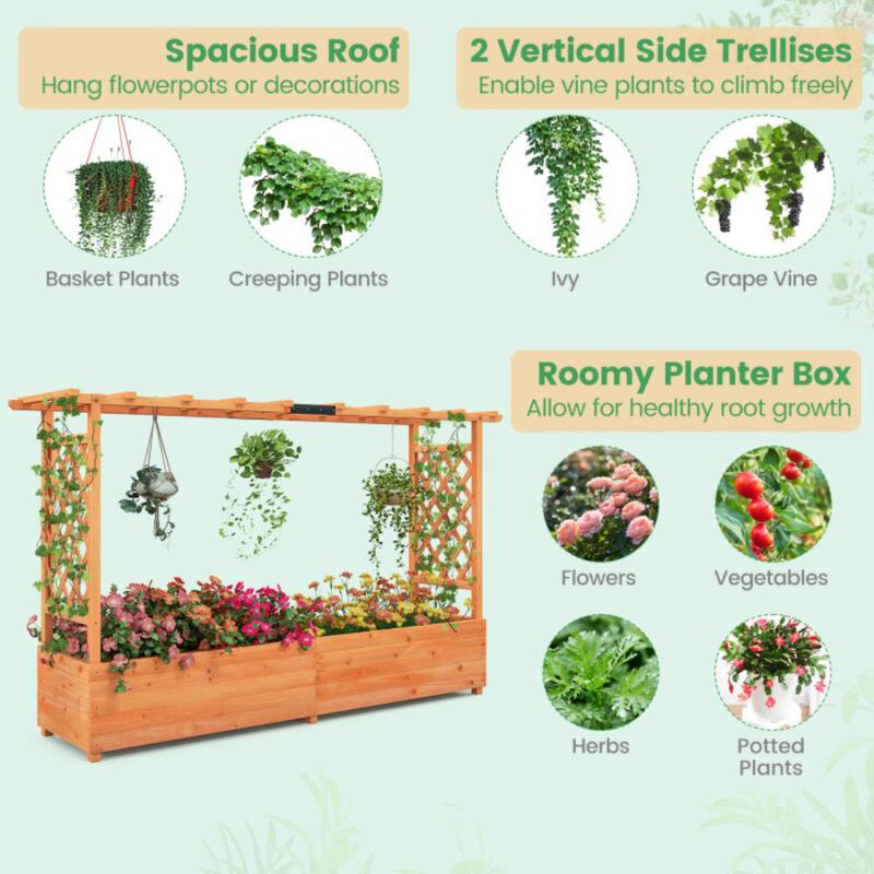 Hivvago Raised Garden Bed with Side Trellis Hanging Roof and Planter Box