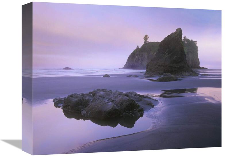 Ruby Beach with seastacks and boulders, Olympic National Park, Washington-Canvas Art-16x12