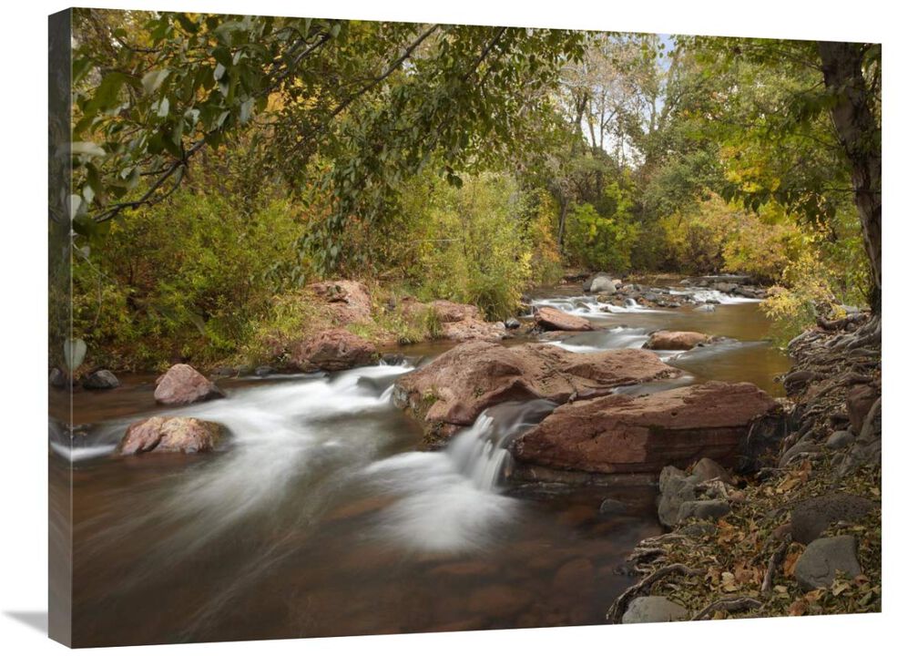 Oak Creek in Slide Rock State Park near Sedona, Arizona-Canvas Art-32x24
