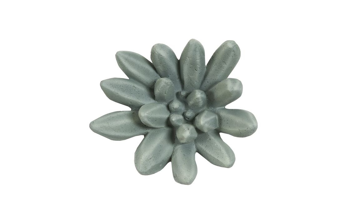 Compactum Succulent Wall Art in Forest