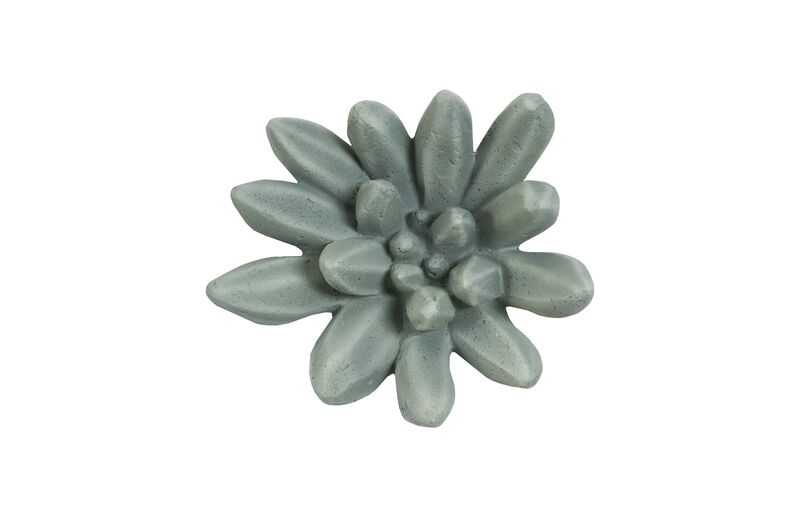 Compactum Succulent Wall Art in Forest
