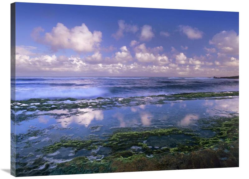 Tidepools and waves at Hookipa Beach, Maui, Hawaii-Canvas Art-40x30