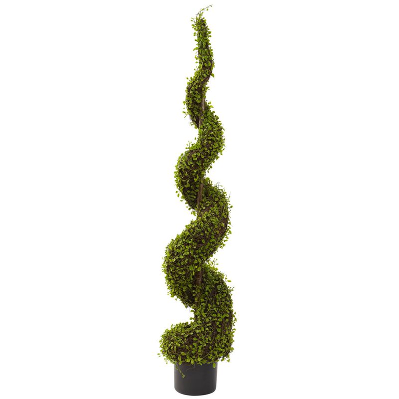Hivvago 4 Feet Mohlenbechia Spiral Tree